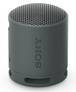 Sony SRSXB100H Wireless Speaker Grey