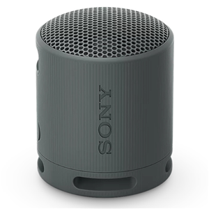 Sony SRSXB100H Wireless Speaker Grey 1 Sony SRSXB100H Wireless Speaker Grey