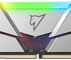Netac Shadow RGB 32GB (2*16GB) DDR5-5600 C40 DIMM Gaming RAM