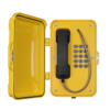 JR-101-FK-SIP Weather Resistant SIP Telephone