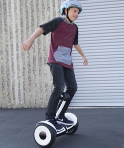 Alternative view of Segway mini LITE