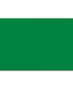 PVC 30MIL Green - 500 pack